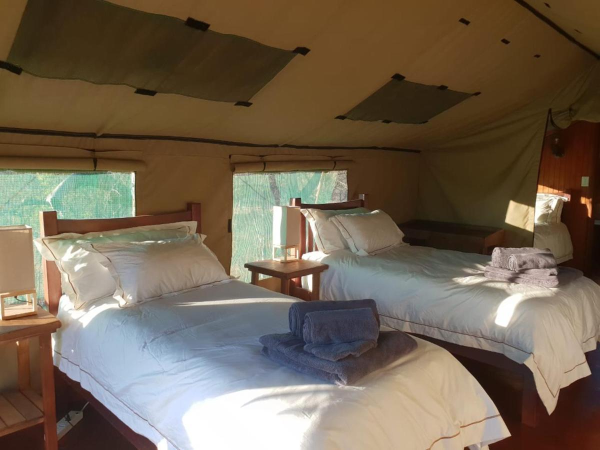 Kelora Bush Camp Hotell Hoedspruit Exteriör bild