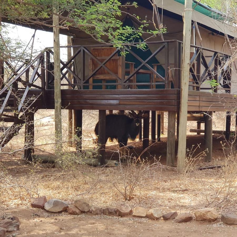 Kelora Bush Camp Hotell Hoedspruit Exteriör bild