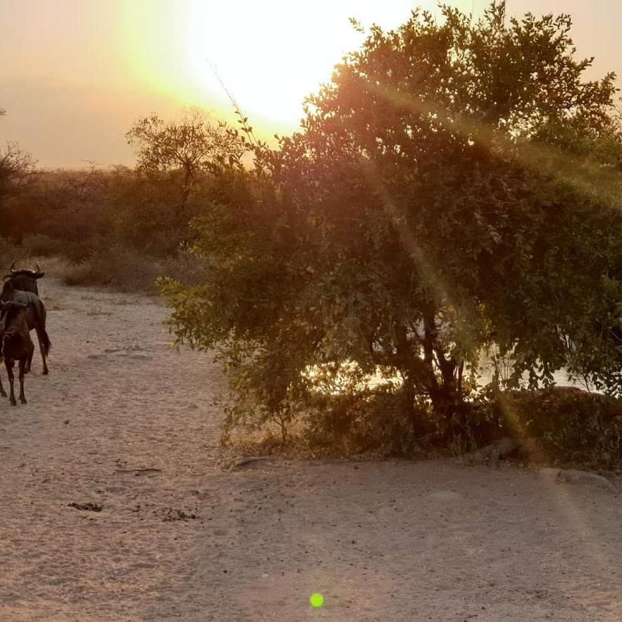 Kelora Bush Camp Hotell Hoedspruit Exteriör bild