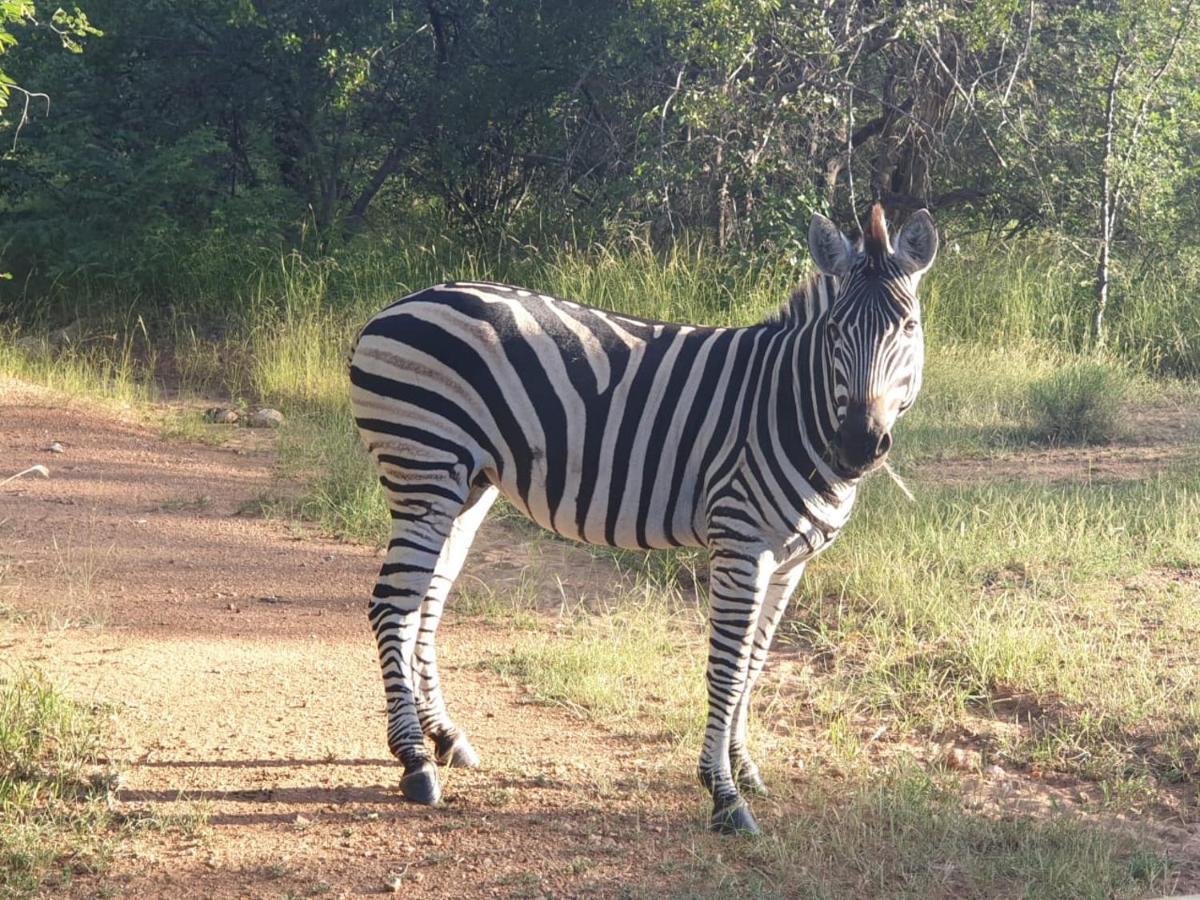 Kelora Bush Camp Hotell Hoedspruit Exteriör bild